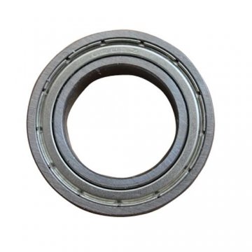 6905z Bearing