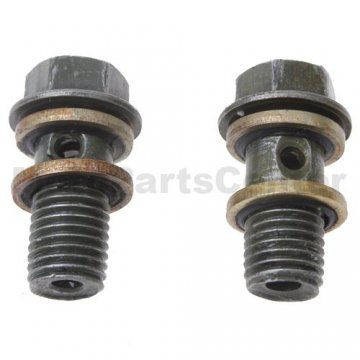 10mm Bolt for Disk Brake Assembly