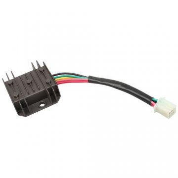 Voltage Regulator 5 Wires 1 Plug