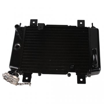 Radiator for 200cc-250cc ATV Dirt Bike Go Kart