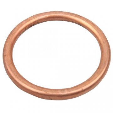 Exhaust Pipe Gasket for Motorcycle