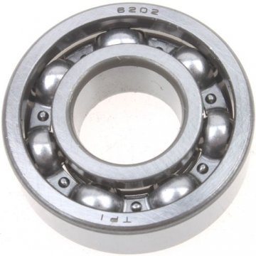 6202 Bearing