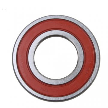 6004LU Bearing